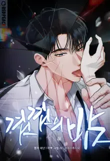 Cover of Layered Night  [Complete Edition]