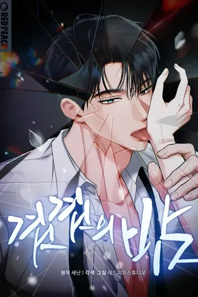 Cover of Layered Night
