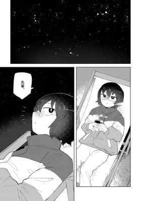 Cover of Leonids