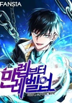 Cover of Leveling Beyond the Max