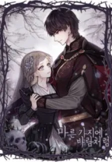 Cover of Like A Wind On A Dry Branch
