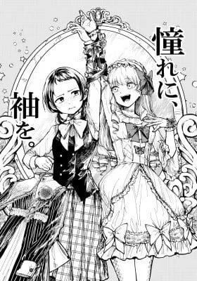 Cover of Longing for Sleeves
