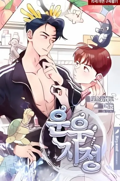 Cover of Love of Cloud and Rain