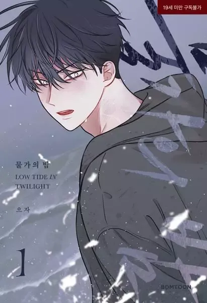 Cover of Low Tide in Twilight