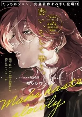Cover of Make haste slowly.