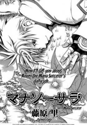Cover of Mana Sorcerer
