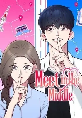 Cover of Meet in the Middle