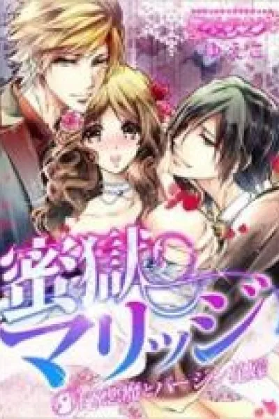 Cover of Mitsugoku Marriage