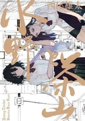 Cover of Mizuno & Chayama