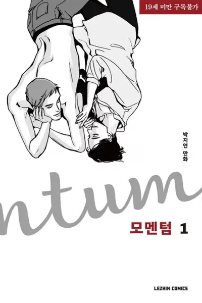 Cover of Momentum