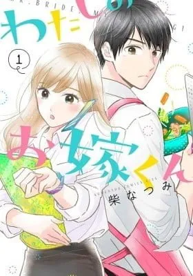 Cover of Mr. Bride