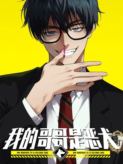 Cover of My Brother Is A Mad Dog