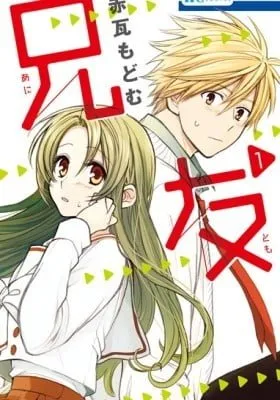 Cover of My Brother's Friend (Colored)