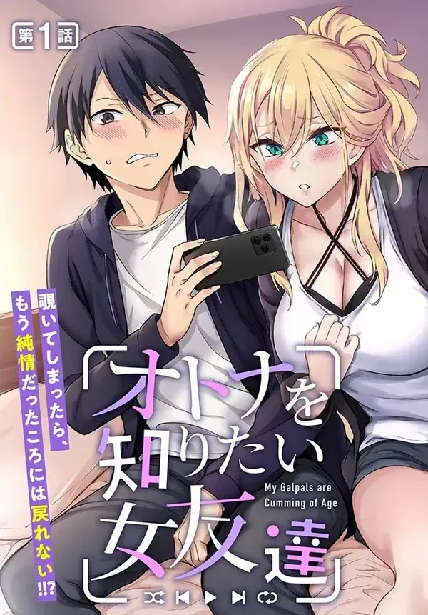 Cover of My Galpal Wants An Adult Understanding