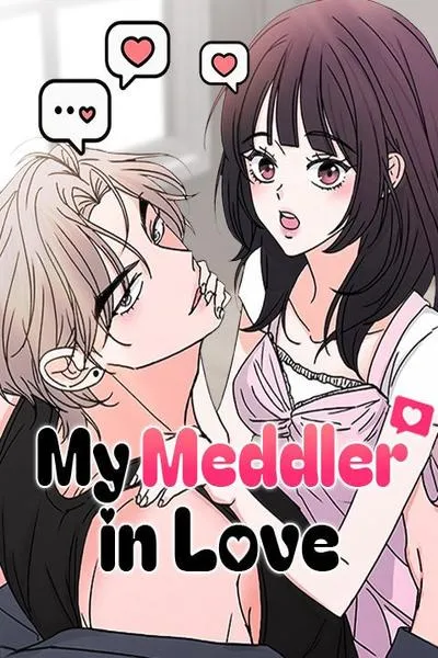 Cover of My Meddler in Love