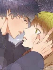 Cover of My Starry Sky
