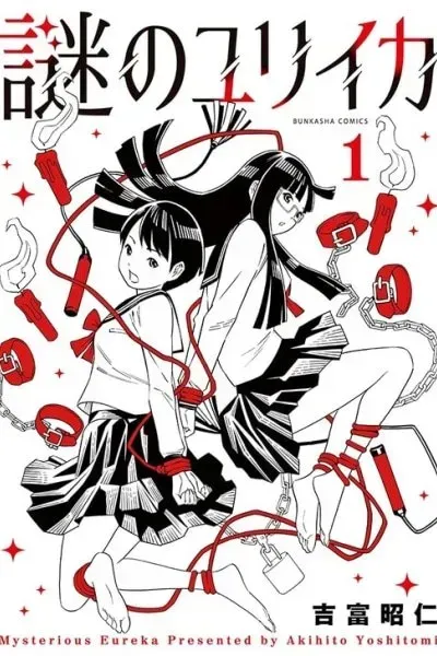 Cover of Mysterious Eureka