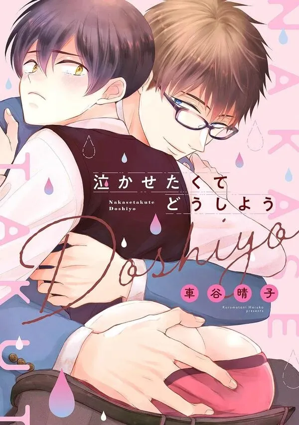 Cover of Nakasetakute Doushiyou