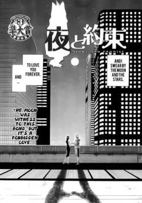 Cover of Night and Promise