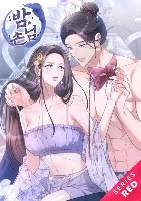 Cover of Night Guest