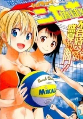 Cover of Nisekyu!!