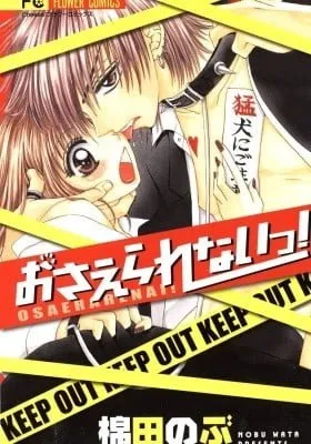 Cover of Osaerarenai!
