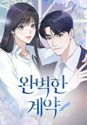 Cover of Perfect Contract