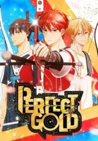 Cover of Perfect Gold