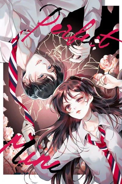 Cover of Perfect Mine