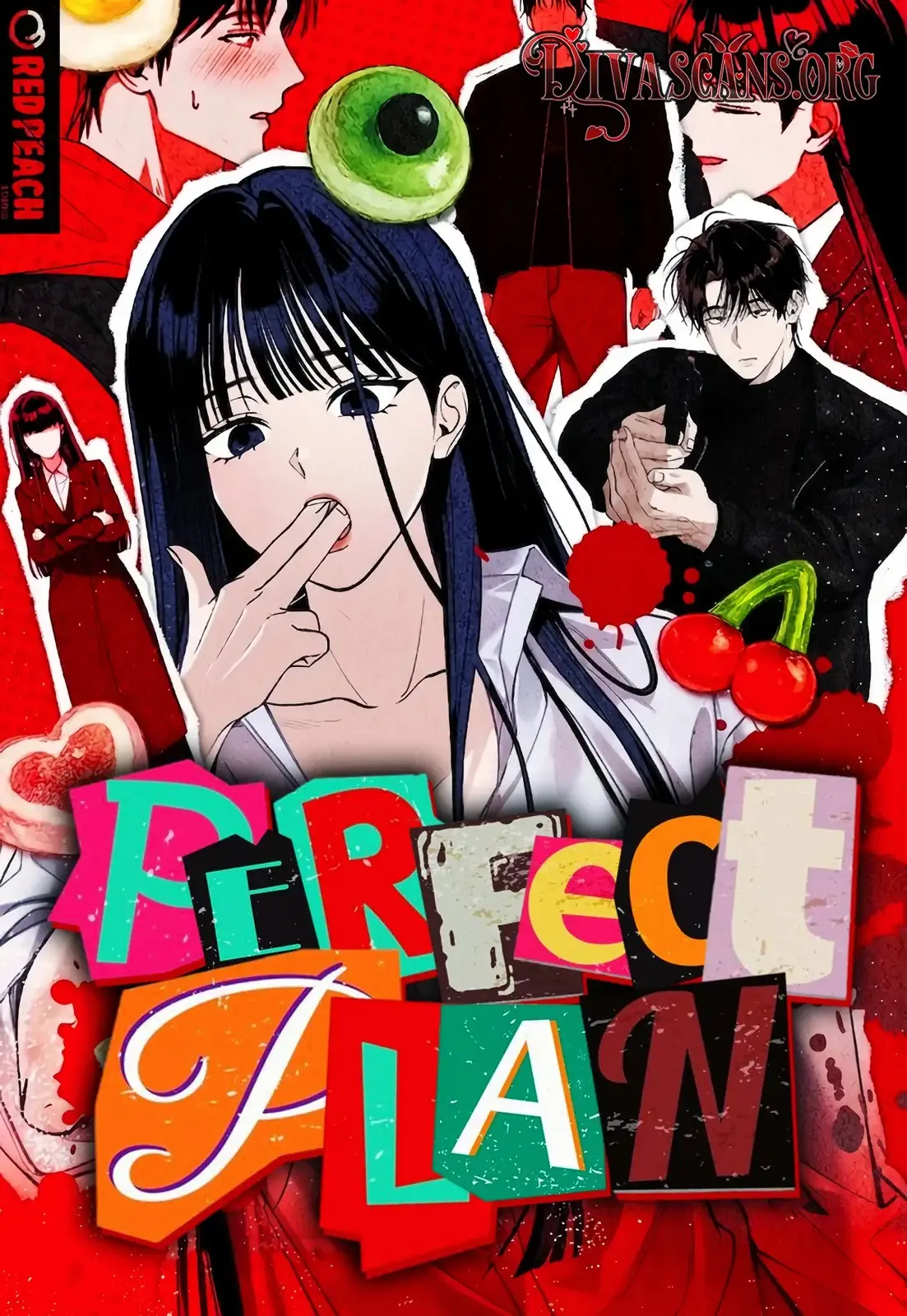 Cover of Perfect Plan