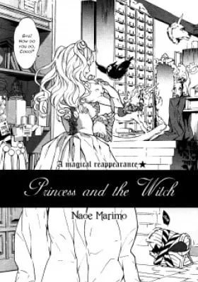 Cover of Princess and the Witch