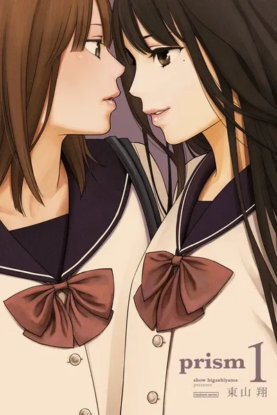Cover of prism