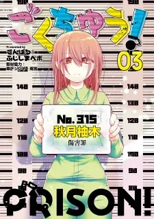 Cover of Prison!
