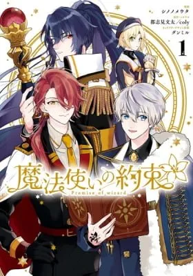 Cover of Promise of Wizard