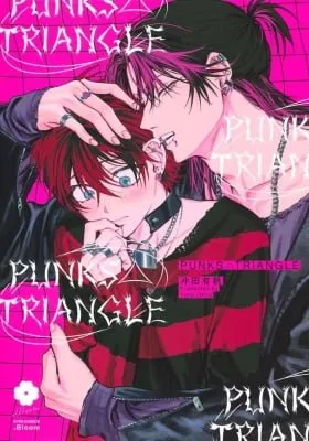 Cover of PUNKS TRIANGLE