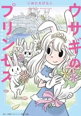 Cover of Rabbit Princess