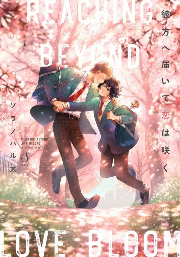 Cover of Reaching Beyond Love Bloom
