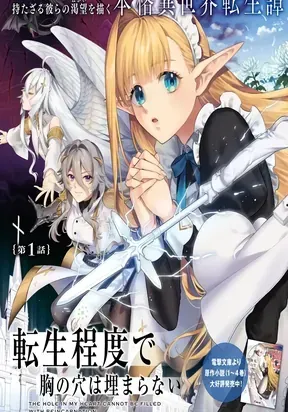 Cover of Reincarnation Isn’t Enough to Fill the Hole in My Heart