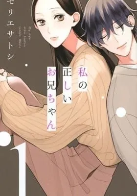 Cover of Searching for My Perfect Brother