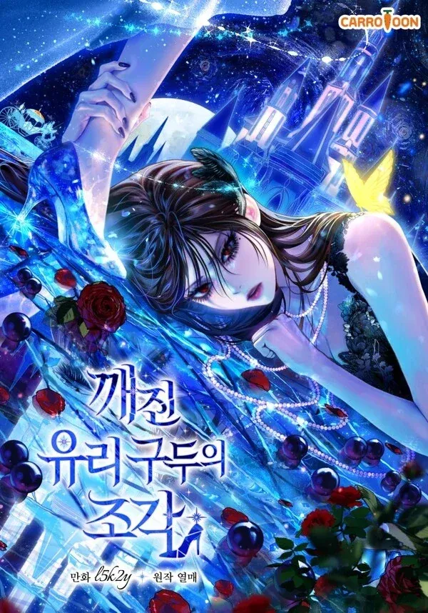 Cover of Shards of a broken glass slipper