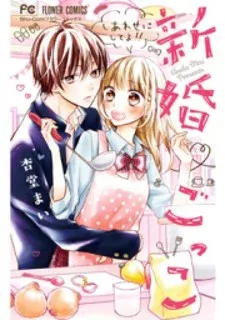 Cover of Shinkon Gokko