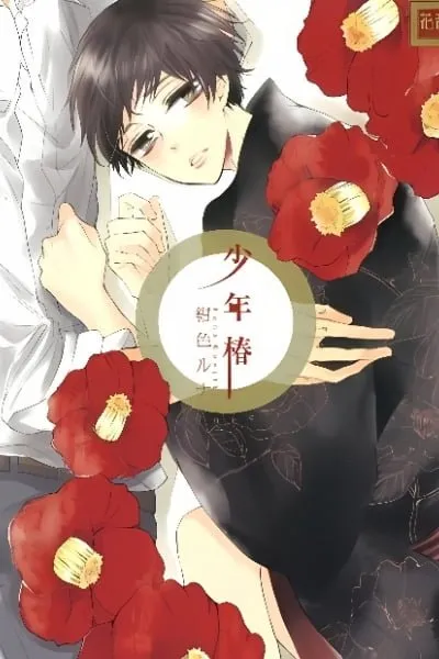 Cover of Shounen Tsubaki
