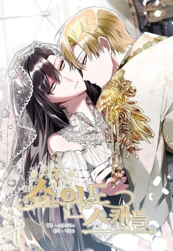 Cover of Show Window Scandal