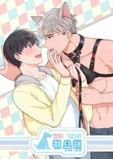 Cover of Sit, Wait, Kiss Me