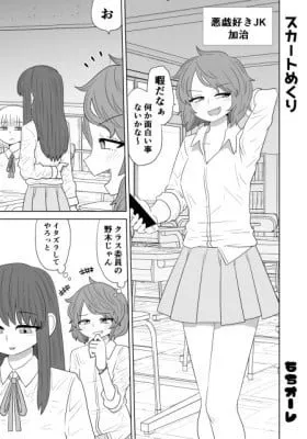 Cover of Skirt Flipping
