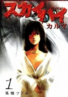 Cover of Skyhigh: Karma