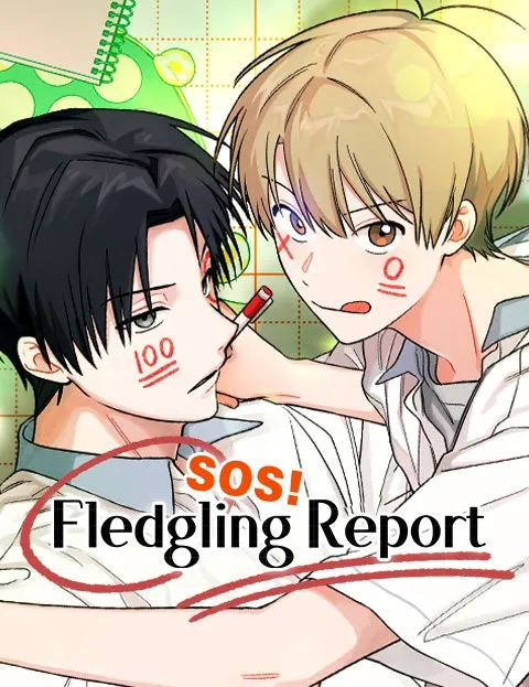 Cover of SOS! Fledgling Report