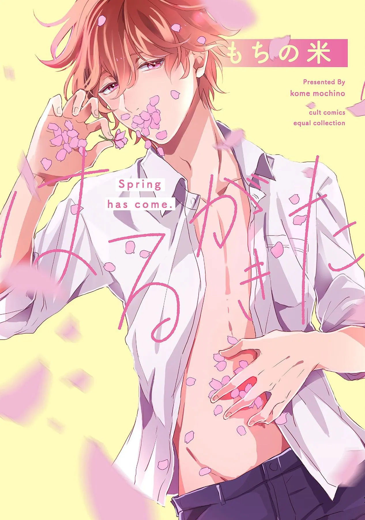 Cover of Spring has come.