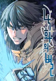 Cover of Star of the Falling Blossoms
