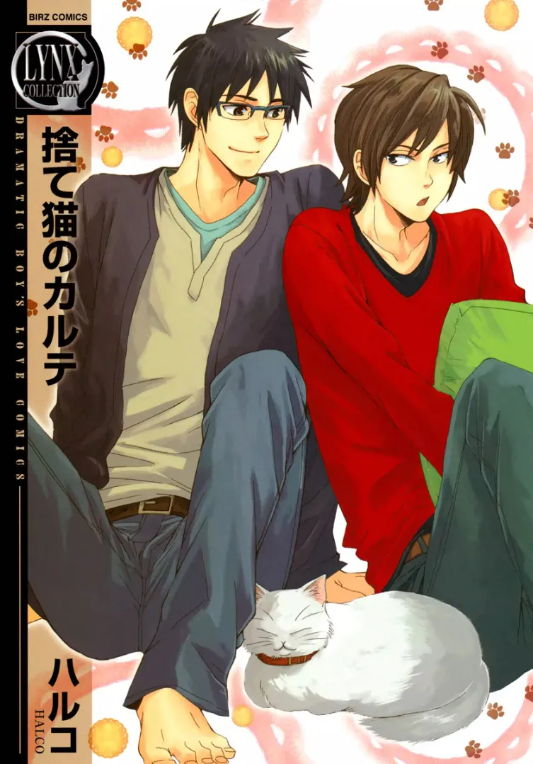 Cover of Stray Cat